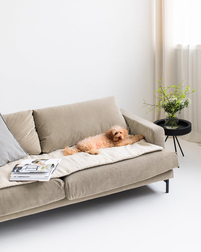Linen sofa topper - sneakstylesanctums